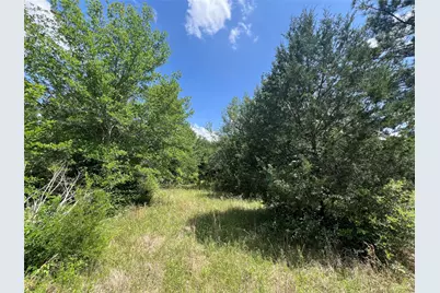 0012 Fm 2562 and Cr 218 Road, Anderson, TX 77830 - Photo 9
