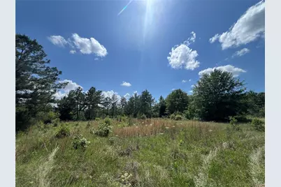 0012 Fm 2562 and Cr 218 Road, Anderson, TX 77830 - Photo 7