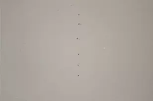 1263 William Crst, New Braunfels, TX 78130 - Photo 17