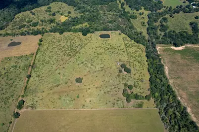 Tbd Pr 4550, Normangee, TX 77871 - Photo 7