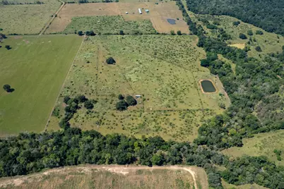 Tbd Pr 4550, Normangee, TX 77871 - Photo 17