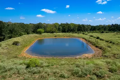 Tbd Pr 4550, Normangee, TX 77871 - Photo 21