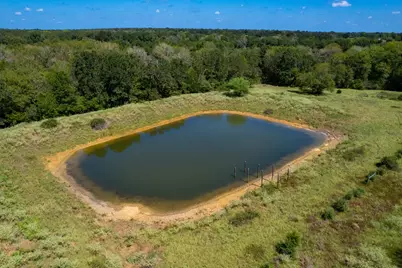 Tbd Pr 4550, Normangee, TX 77871 - Photo 9