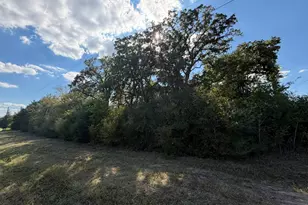 12495 Burgess Rd, Iola, TX 77861 - Photo 1