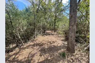 12495 Burgess Road, Iola, TX 77861 - Photo 17