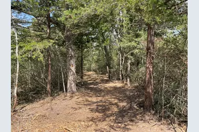 12495 Burgess Road, Iola, TX 77861 - Photo 25