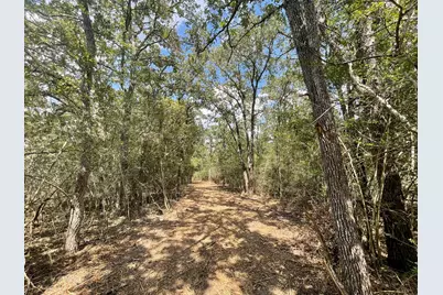 12495 Burgess Road, Iola, TX 77861 - Photo 23