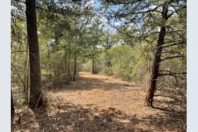 12495 Burgess Road, Iola, TX 77861 - Photo 31