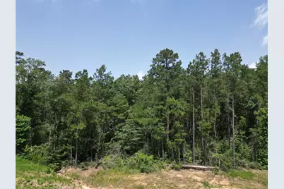 15884 Ridge Oak Road, Willis, TX 77378 - Photo 3