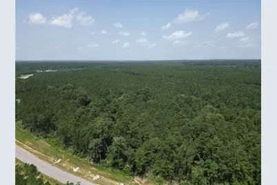 15884 Ridge Oak Road, Willis, TX 77378 - Photo 13