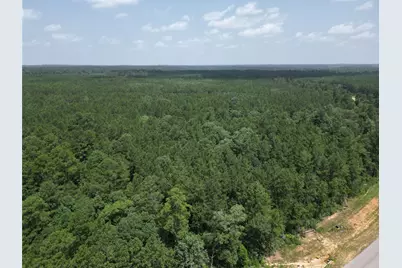 15884 Ridge Oak Road, Willis, TX 77378 - Photo 11