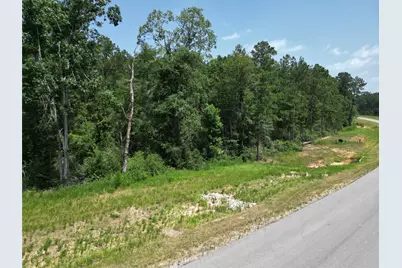 15884 Ridge Oak Road, Willis, TX 77378 - Photo 9