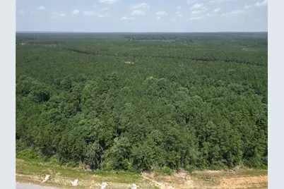 15884 Ridge Oak Road, Willis, TX 77378 - Photo 13