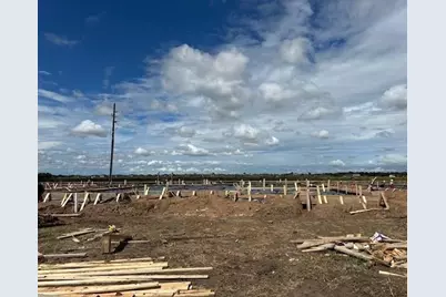 2935 Belle Tree Lane, Katy, TX 77493 - Photo 1