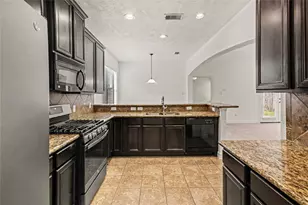 25142 Alina Ln, Spring, TX 77386 - Photo 15
