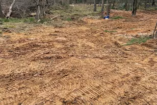 524 White Oak Dr, Houston, TX 77336 - Photo 3