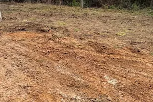 524 White Oak Dr, Houston, TX 77336 - Photo 7