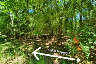 00 Chestnut Dr, Montgomery, TX 77356 - Photo 3