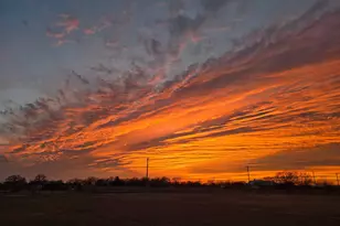 7386 Garrison Crk Dr, Bryan, TX 77808 - Photo 35