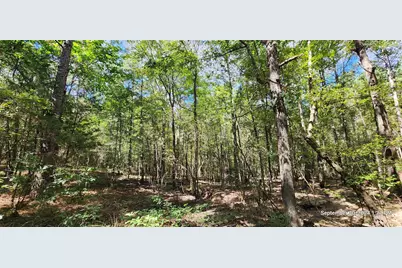 Tbd County Road 405, San Augustine, TX 75972 - Photo 23
