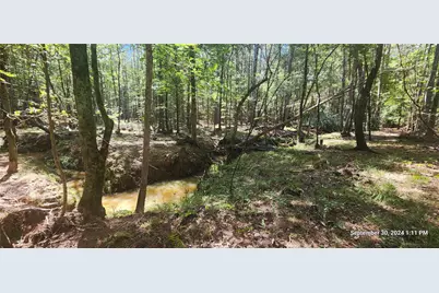 Tbd County Road 405, San Augustine, TX 75972 - Photo 15