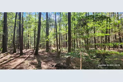 Tbd County Road 405, San Augustine, TX 75972 - Photo 11