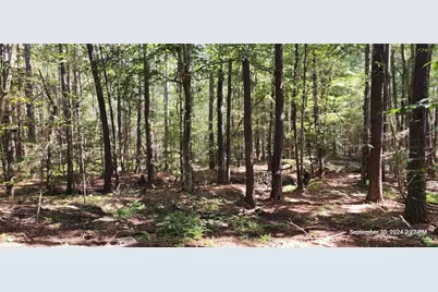 Tbd County Road 405, San Augustine, TX 75972 - Photo 31