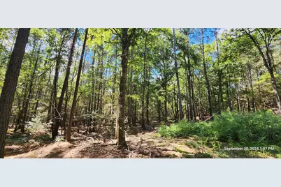 Tbd County Road 405, San Augustine, TX 75972 - Photo 1