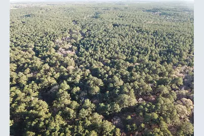 Tbd County Road 405, San Augustine, TX 75972 - Photo 45