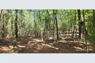 Tbd County Road 405, San Augustine, TX 75972 - Photo 27