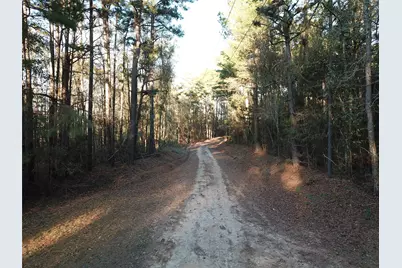 Tbd County Road 405, San Augustine, TX 75972 - Photo 7
