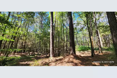 Tbd County Road 405, San Augustine, TX 75972 - Photo 9