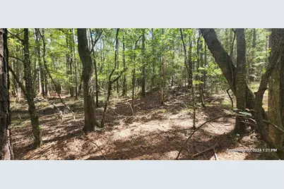 Tbd County Road 405, San Augustine, TX 75972 - Photo 19