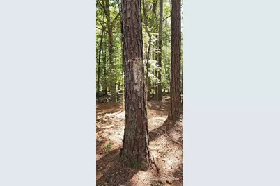 Tbd County Road 405, San Augustine, TX 75972 - Photo 3
