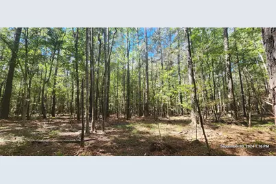 Tbd County Road 405, San Augustine, TX 75972 - Photo 17