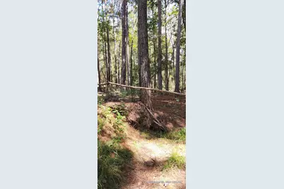 Tbd County Road 405, San Augustine, TX 75972 - Photo 5