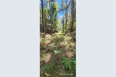 Tbd County Road 405, San Augustine, TX 75972 - Photo 25