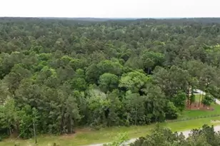 0000 Lonestar Road Texas, New Waverly, TX 77340 - Photo 5