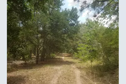 8870 Hart Lane, Sealy, TX 77474 - Photo 29