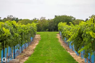 14015 Hawk Vis Ct, Willis, TX 77318 - Photo 29