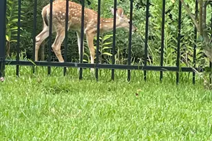 514 Pearl View Ln, Pinehurst, TX 77362 - Photo 23