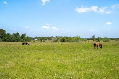 7824 Waldeck Cemetery Road, Round Top, TX 78954 - Photo 21