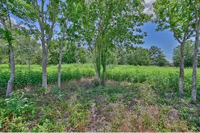 330 N Nassau Road, Round Top, TX 78954 - Photo 19