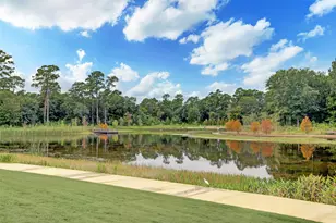 1407 Knox St, Houston, TX 77007 - Photo 29