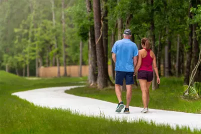 9115 Petroglyph Point Court, Porter, TX 77365 - Photo 47