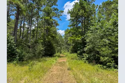 T-5 Benny Griffin Road, Livingston, TX 77351 - Photo 5
