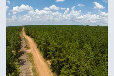 T-5 Benny Griffin Road, Livingston, TX 77351 - Photo 13