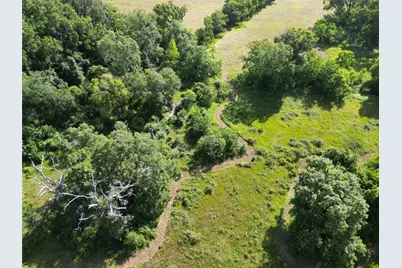 50.74 +/- Acres County Road 202, Plantersville, TX 77363 - Photo 9