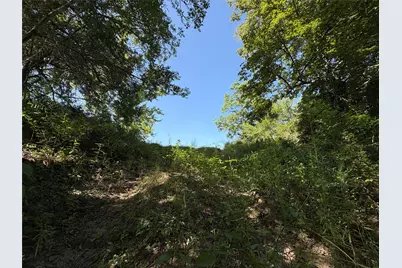 50.74 +/- Acres County Road 202, Plantersville, TX 77363 - Photo 17