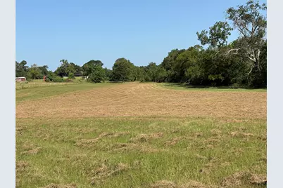 50.74 +/- Acres County Road 202, Plantersville, TX 77363 - Photo 35